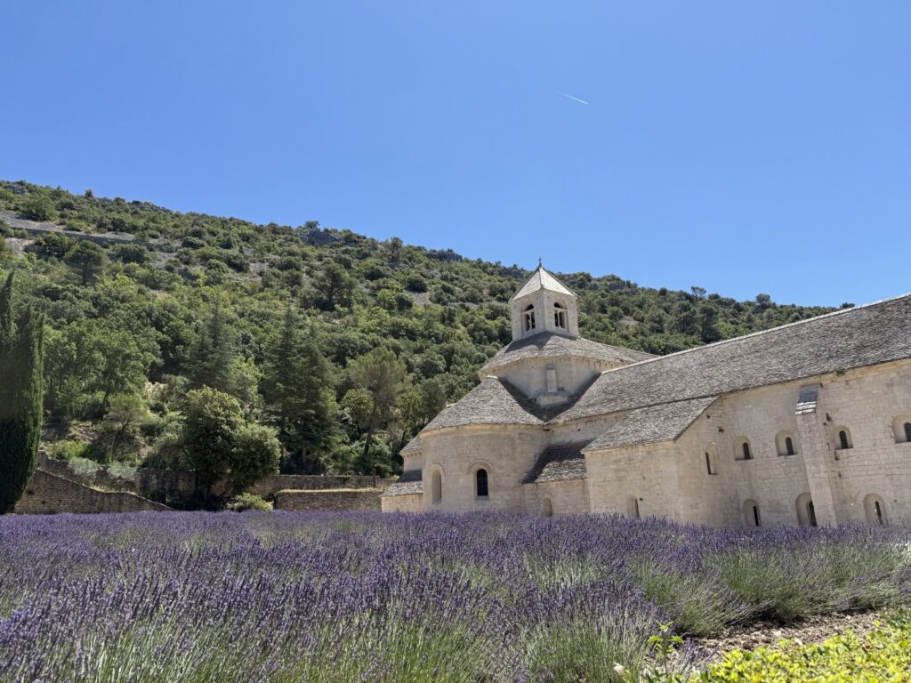 Sénanque Abbey behind a lavender field in bloom, Provence